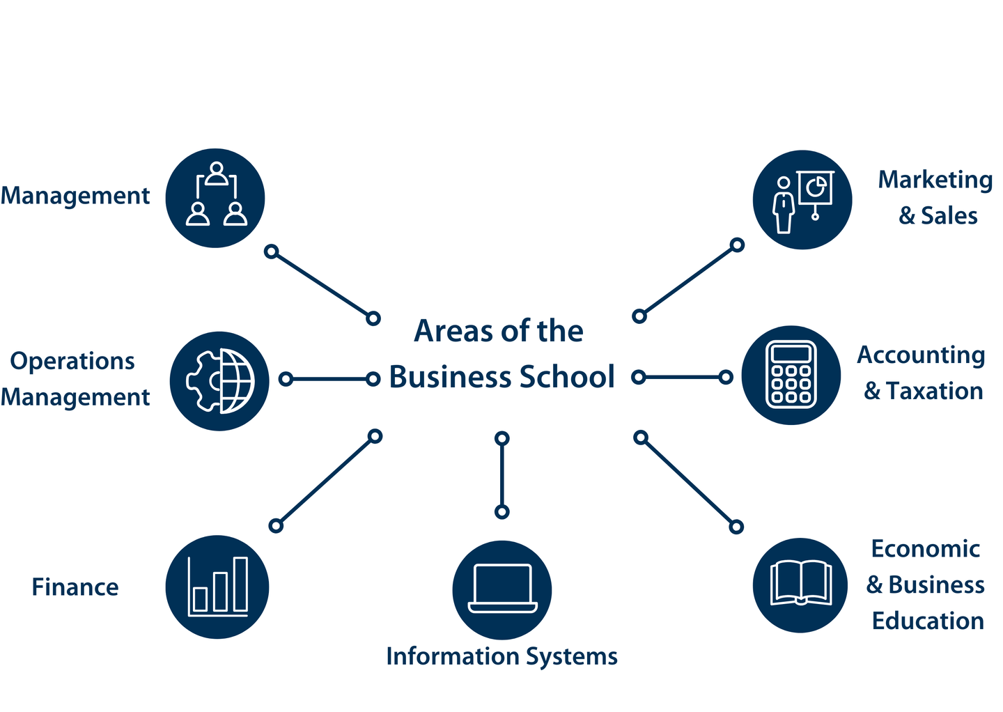 In der Mitte der Infografik steht "Areas of the Business School". Drum herum stehen die anderen Areas: Finance, Marketing & Sales, Accounting & Taxation, Economic & Business Education, Information Systems, Operationa Management und Management. Neben den Area-Namen sind Icons.